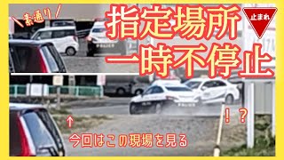 【止まれ】指定場所一時不停止【決定的瞬間】