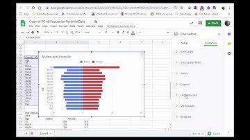 How to make a population Pyramid using Google Sheets - November 29, 2019