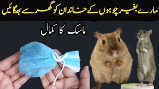 get rid of mouse | Chuhe Bhagane Ka Tarika😲 | Rat Killer Trick | Rat Killer | Kitchen Tips