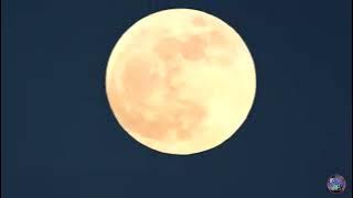 Parigi Kareme Nuvula   Cipt Hasan Bahasyuan  Voc Ryan Hamzah