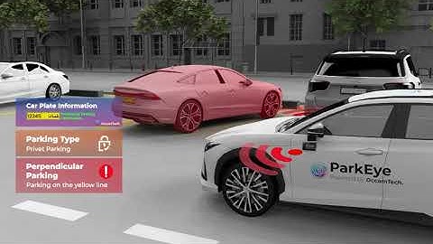 Occamtech ParkEye, the ultimate parking inspection system
