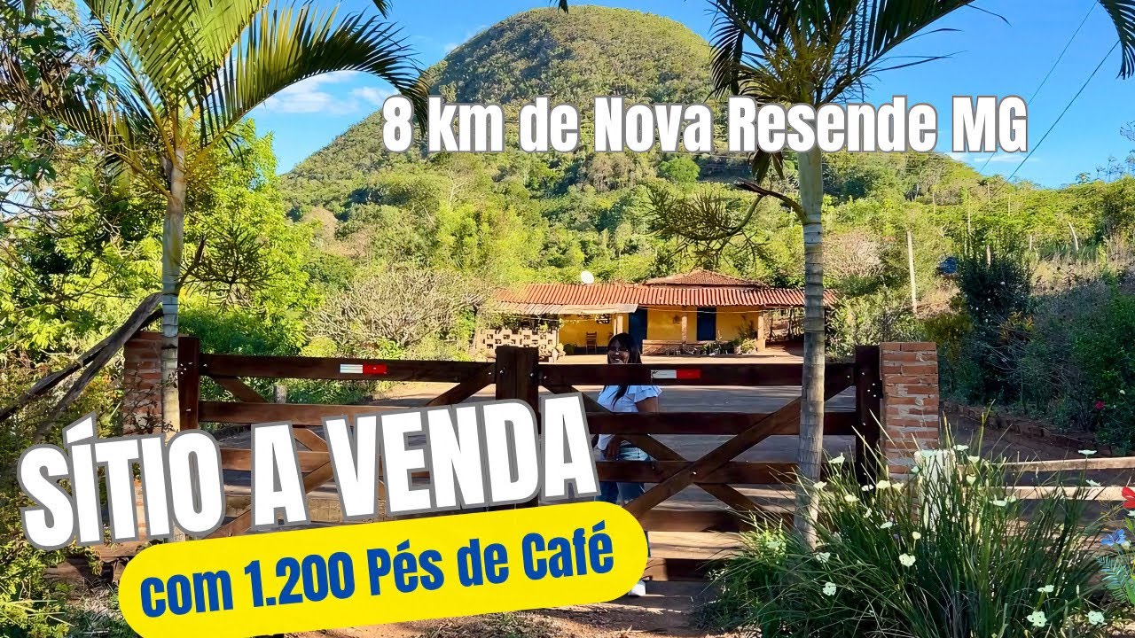 Ótima Oportunidade 🚨Com um Preço Excelente ‼️6 mil m² com Água Natural, Pomar e Café Produzindo 