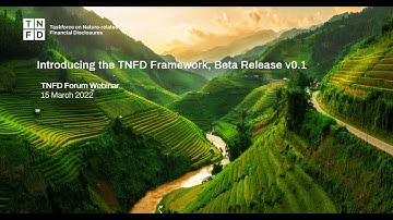 TNFD Forum webinar: Introducing the TNFD framework, beta release v0.1