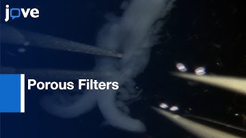 Biochemical Analysis of Sensory Neurons Axons by Porous Filters | Protocol Preview