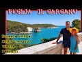 PUGLIA COSA VEDERE SUL GARGANO  1/2- Foresta umbra- Monte S.Angelo- Vieste- Peschici  [VLOG-DRONE]