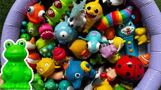 kids learn sea animal names facts learn sea animal names