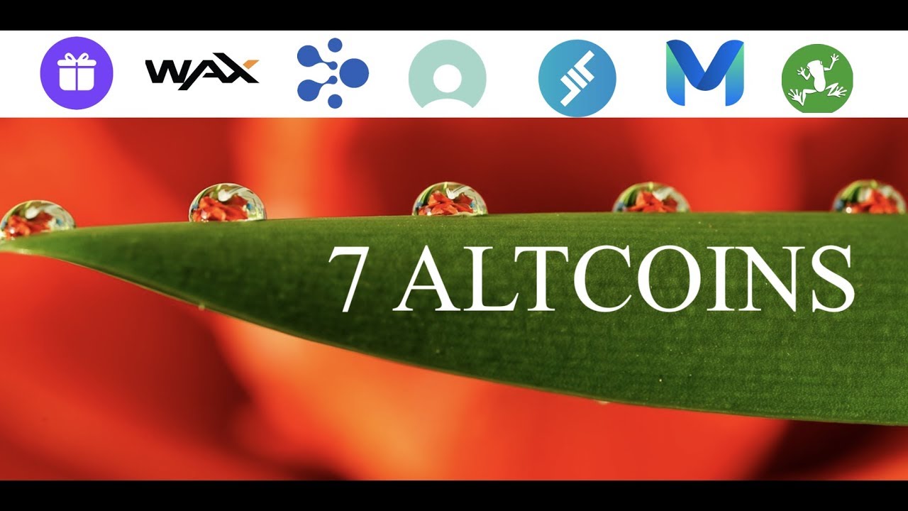 yoyo cryptocurrency price yoyo cryptocurrency price