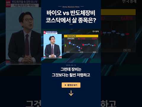 삼성전자 vs SK하이닉스, 하나만 선택한다면?ㅣ강관우 더프레미어 대표