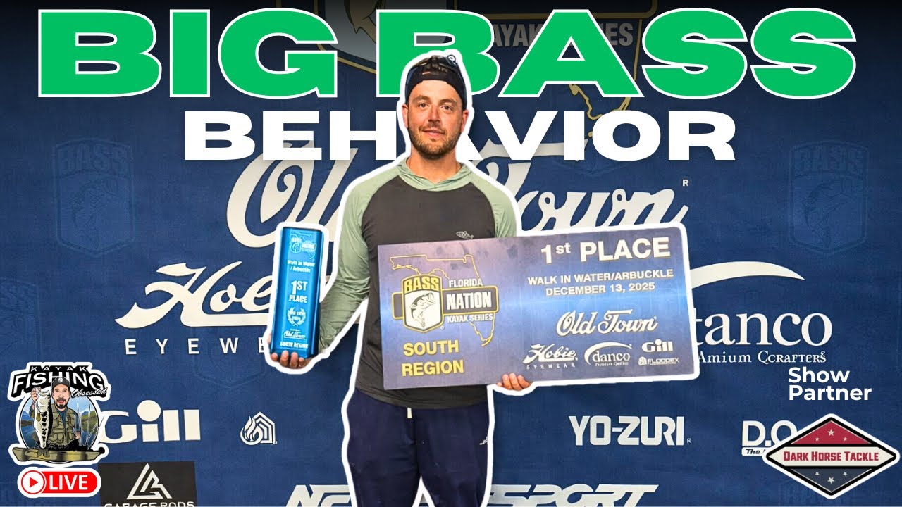Breaking Down Big Bass Behavior  **What Actually Matters** 📱
