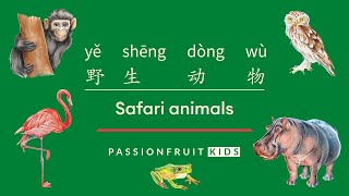 Learn about Safari Animals in Chinese | 野生动物 | Passionfruit Kids