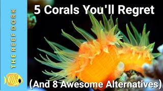 5 Corals You'll Regret (And 8 Great Alternatives)