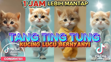 TANG TING TUNG VERSI KUCING 1 JAM TERBARU