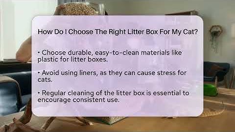 How Do I Choose The Right Litter Box For My Cat? - Ask A Pet Vet