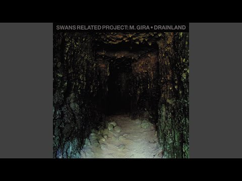 Michael Gira — You See Through Me