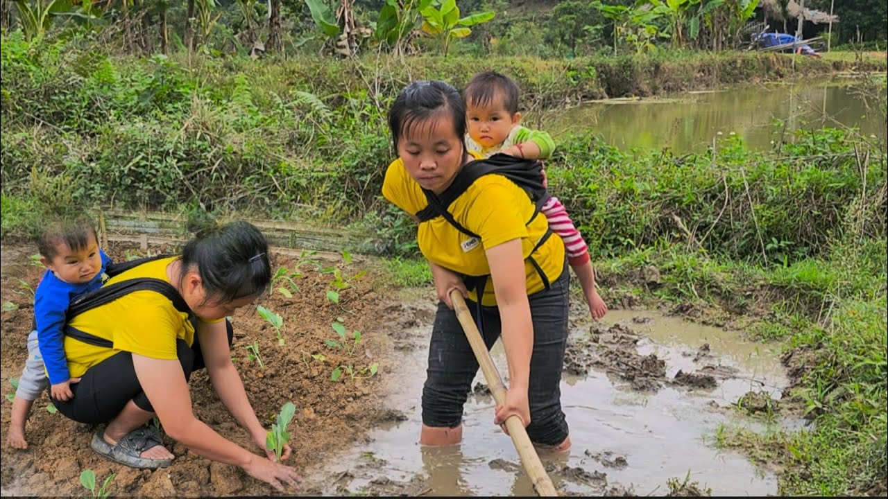 Single mother works as a hired laborer,together children grow vegetable, and builds a new life.