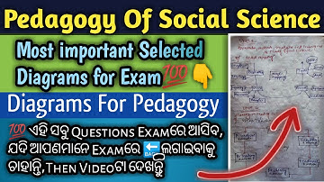 Pedagogy Of Social Science Diagrammatically Representation | Exam Oriented Selected Diagrams