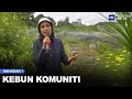 Kebun komuniti bhg 1  mhi 4 februari 2023