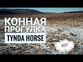 Конная прогулка Tynda Horse в Марте