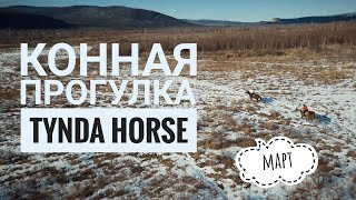Конная прогулка Tynda Horse в Марте