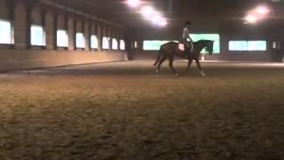 Tillie dressage lesson 7-3-15
