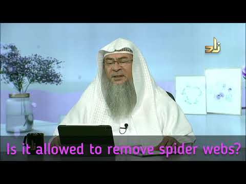 Video: Why You Can't Kill Spiders In The House: Objective Reasons And Signs About The Prohibition