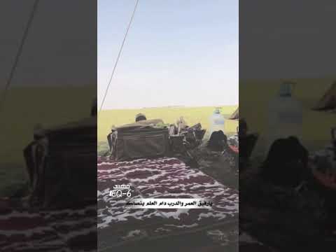 يارفيق العمر والدرب دام العلم ينصاك