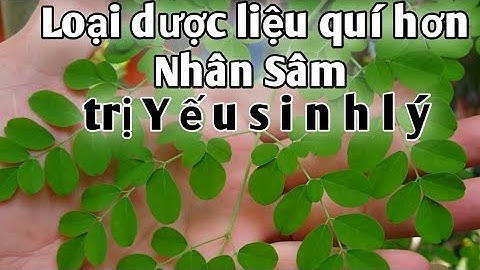 Bài thuốc trị ysl, suy nhược cơ thể, tiểu đường, máu nhiễm mỡ...PHAN HẢI channel.