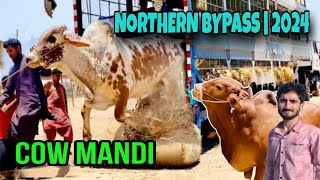 cow Mandi | THE PROCESS OF UNLOADING ANIMALS IN NORTHERN BYPASS MANDI 🐂🐄🐃