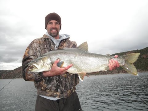 hunting simulator pc Learn How to Catch Fish at Lake Powell and Flaming Gorge