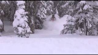 December Powder With Mountain Skillz