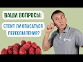 Можно ли сажать простую и ремонтантную малину на одном участке? Совместная посадка малины