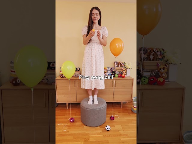 Bounce TEST. How bounces better? Beanie Bouncer! #ty #beaniebouncers