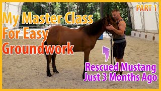 Easy Master Class For Beginning Groundwork With Horses Part 1