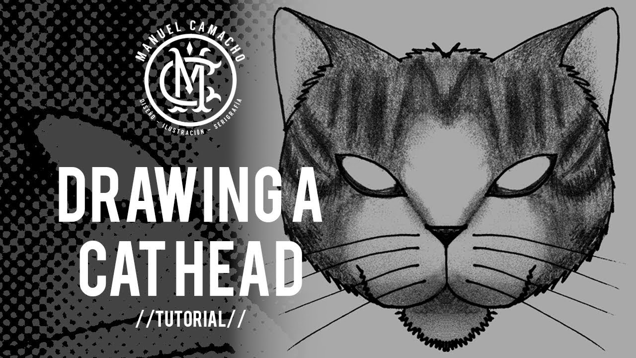 DRAWING A CAT HEAD - Tutorial - YouTube