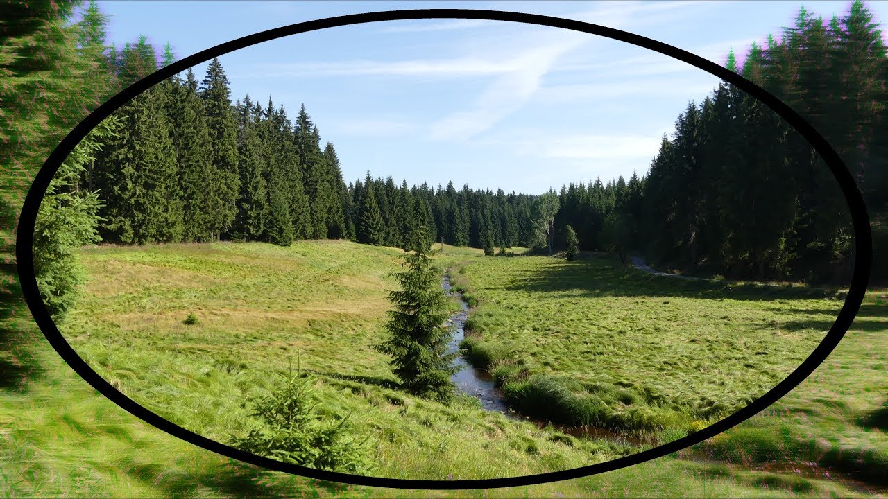 Die DEFINITIV schönste Wanderung des Erzgebirges ??? Das Schwarzwassertal bei Pobershau