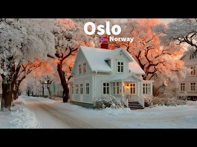 Oslo, Norvège | freezing cold | Balade sous la Neige 4K