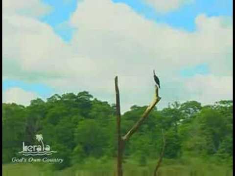 Periyar Wildlife Sanctuary video
