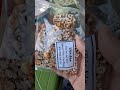 Kẹo lạc, ngà hoóc, quảng yên, cao bằng