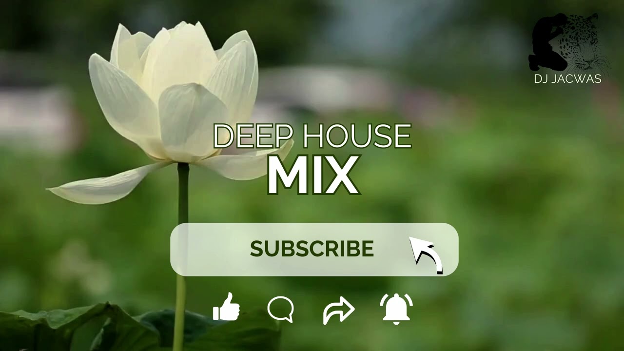 Soulful Deep House Mix 2025 | DJ JACWAS | InQFive, Rodney SA, Deeper Than Politics