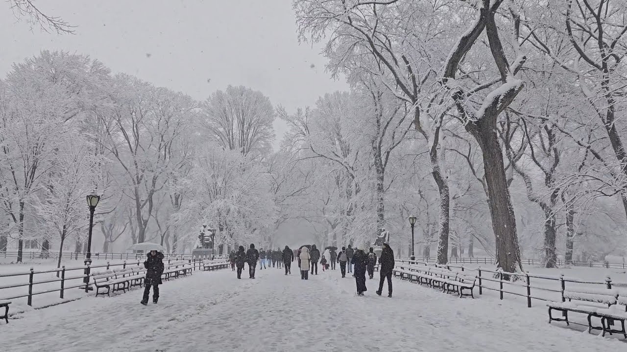 First Snow of the year (12/14/25) Mymixvid 
