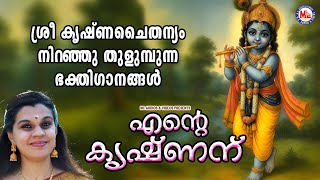 ശ്രീകൃഷ്ണചൈതന്യം നിറഞ്ഞു തുളുമ്പുന്ന ഭക്തിഗാനങ്ങൾ | Sree krishna Songs Malayalam | Devotional Songs