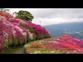この街で・・大洲編