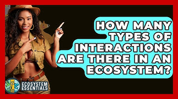 How Many Types Of Interactions Are There In An Ecosystem? - Ecosystem Essentials