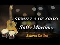 Semilla De Odio SOFFY MARTINEZ VIDEO LETRA