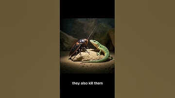 Did you know that cockroaches and geckos are allies?   #shortvideo #shorts #short #animals