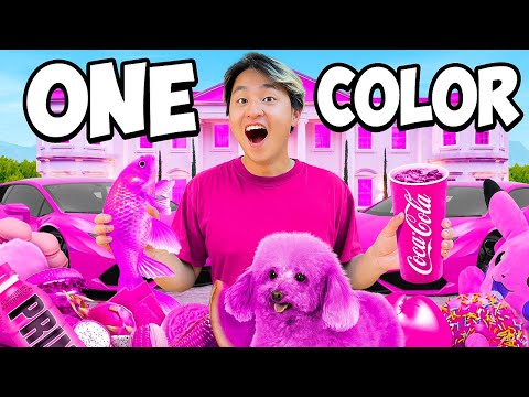 Buying Only Barbie Pink Items For 24 Hours!! (One Color Challenge)'s Avatar