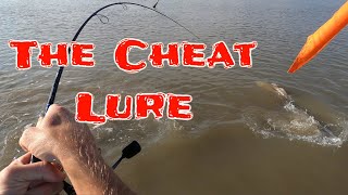 Try This Lure When The Bites Tough