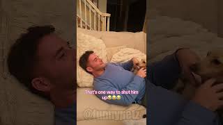 Try Not to Laugh: Funny Dog Clips