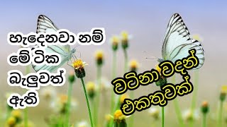 සිංහල වදන් | ඔබේ ජීවිතය ජය ගන්නට වටිනා සිංහල  වදන් | love quotes | adara wadan