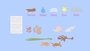 Environmental Sampling - WELS (Waterpedia Environmental Learning Series)
